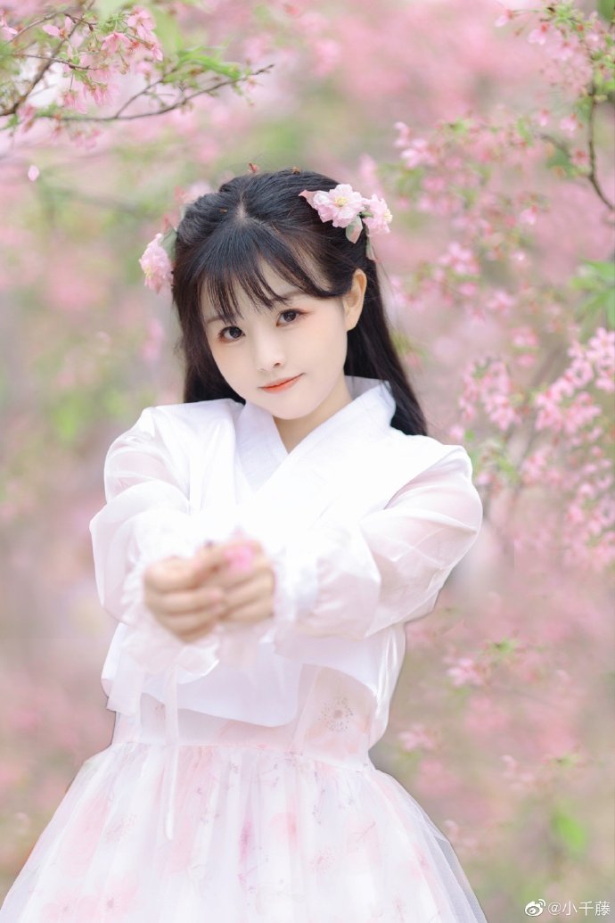 元素城 海报